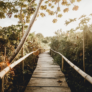 AV➕无码➕高潮➕在线下载老K
